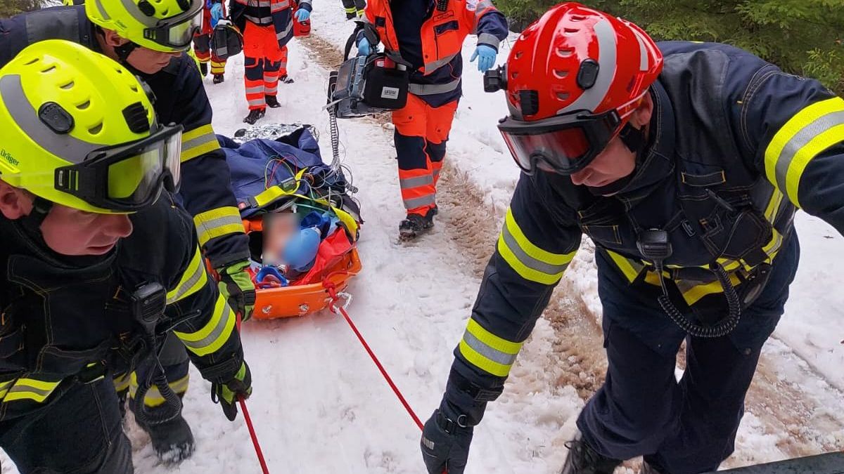 Těžce zraněného dělníka po pádu stromu na Sokolovsku táhli z lesa po sněhu
